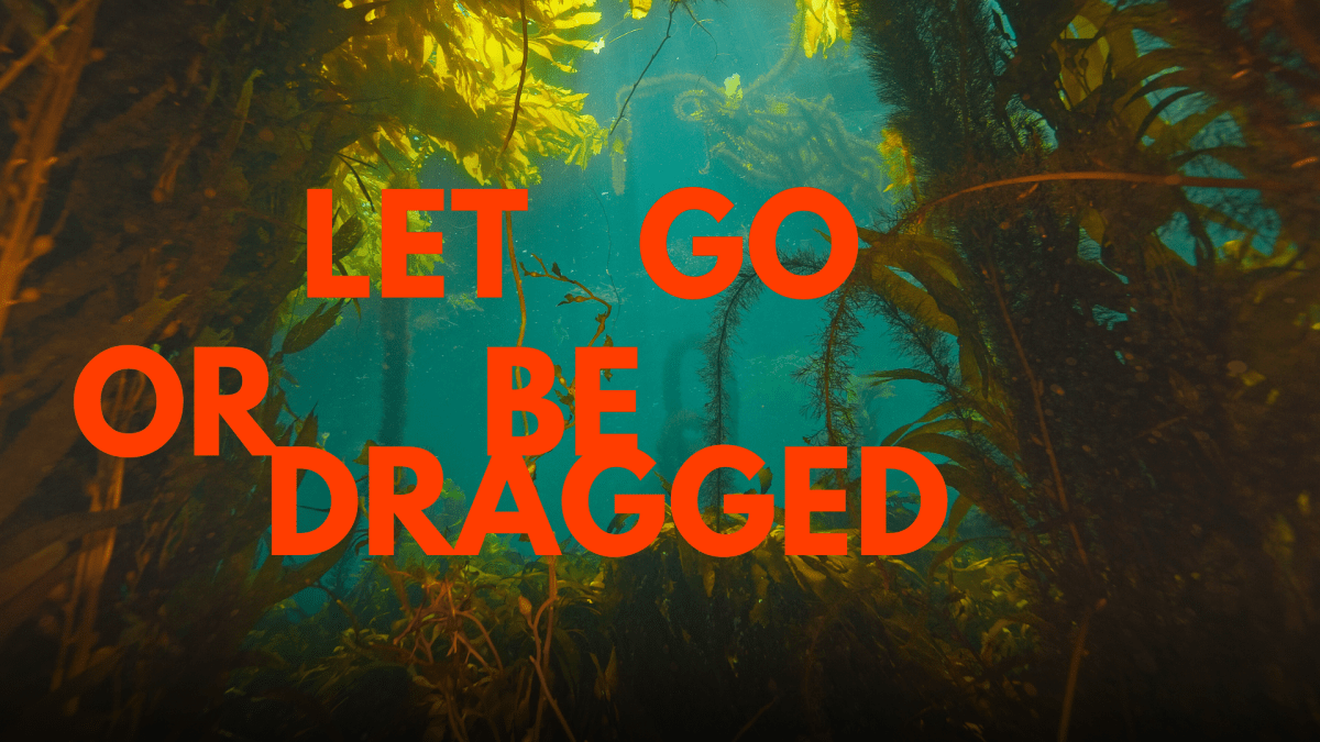 LET GO OR BE&nbsp;DRAGGED